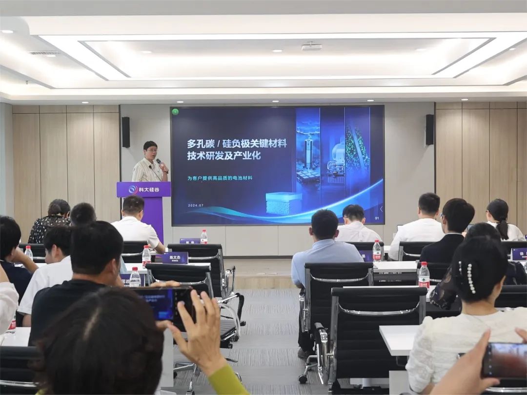 多孔碳/硅负极关键材料技术研发及产业化