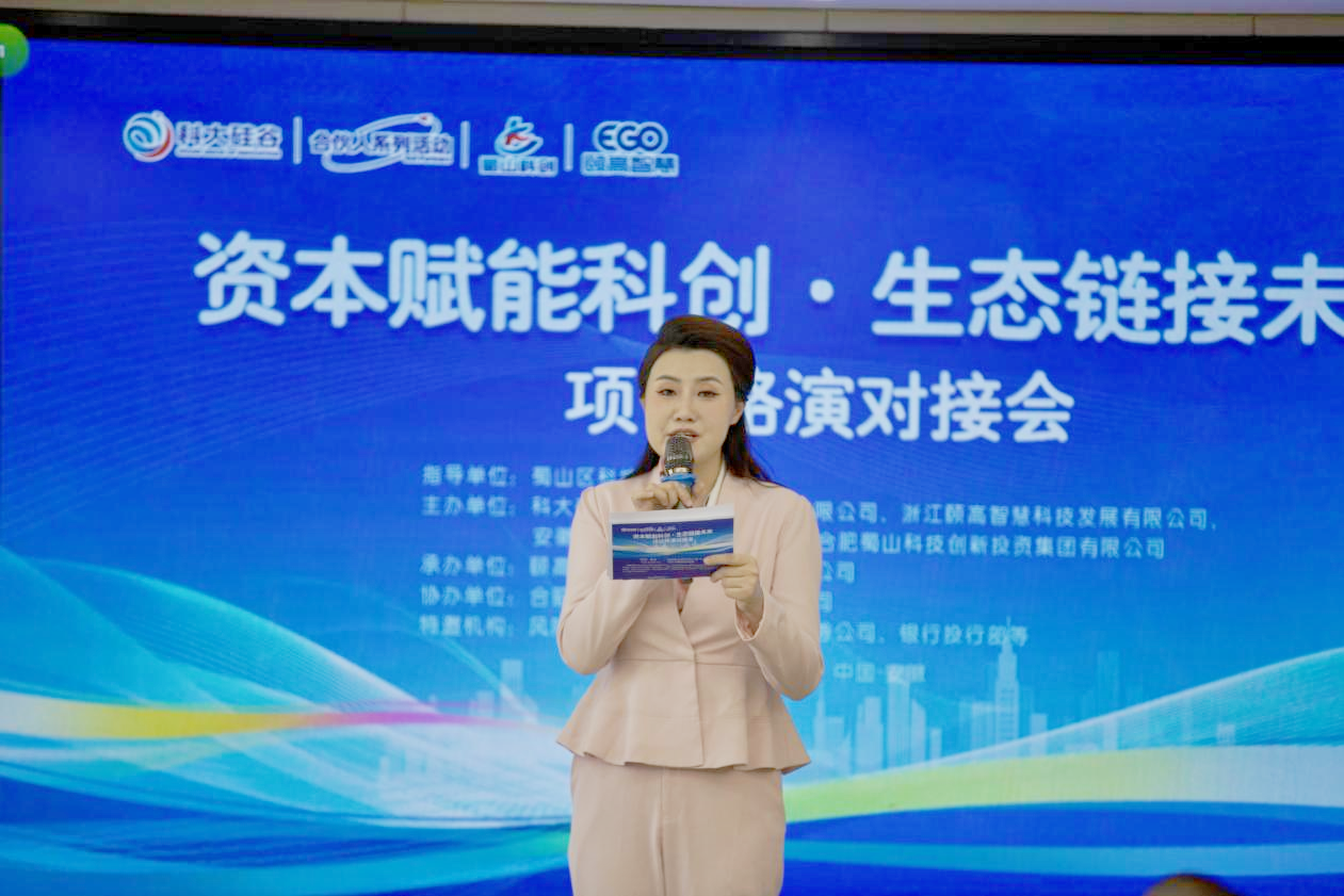 “资本赋能科创·生态链接未来”项目路演对接会在合肥盛大举行
