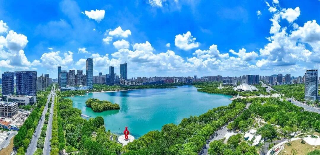 种子&rarr;雨林！蜀山科创沃土何以繁茂？